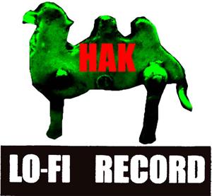 Logo HAK 300