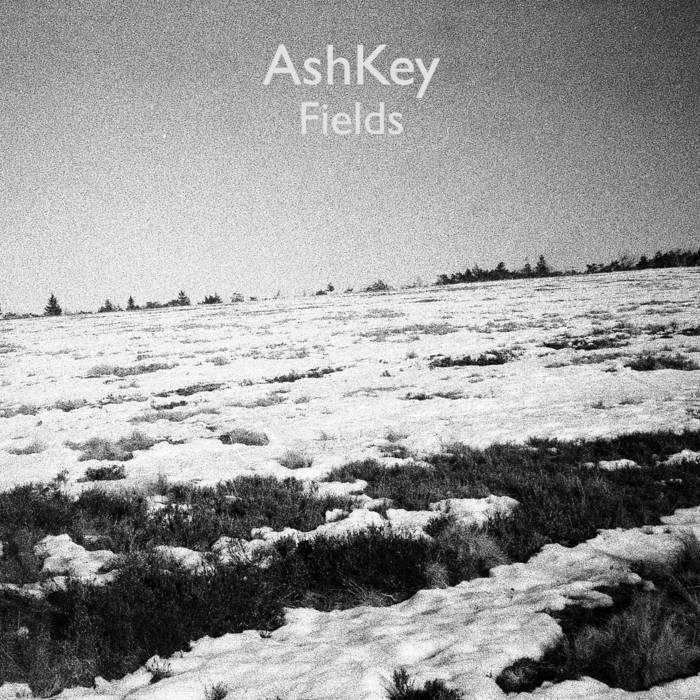 AshKey – Fields